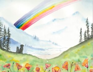 il fullxfull.6983344567 cwnw